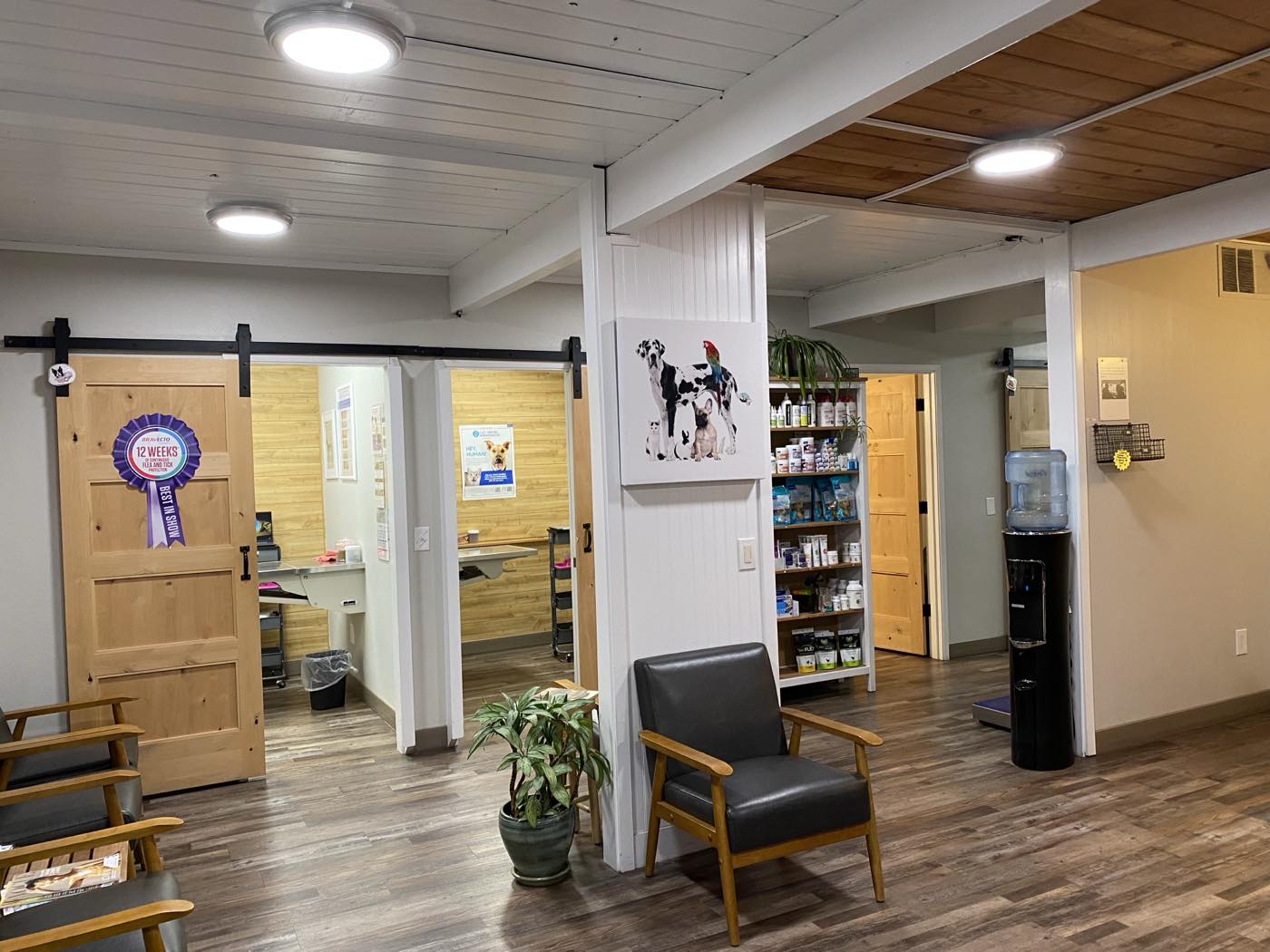 The reception area at The Family Pet