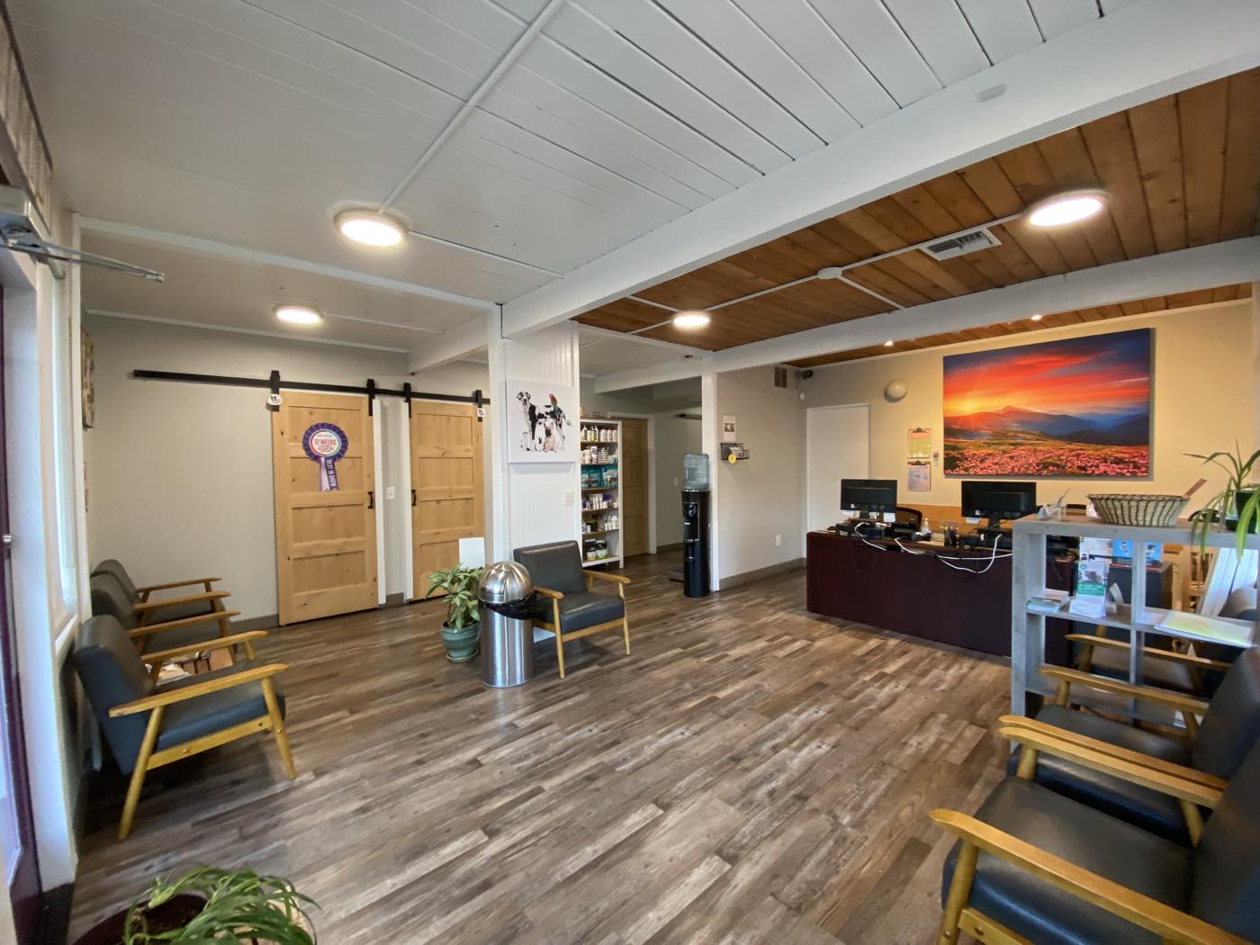 The reception area at The Family Pet