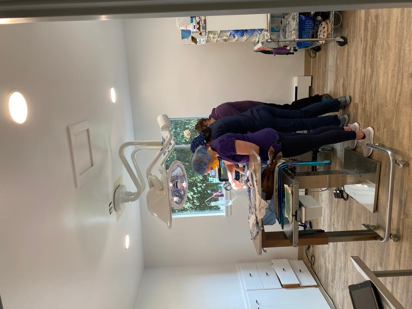 The surgical team operating at The Family Pet