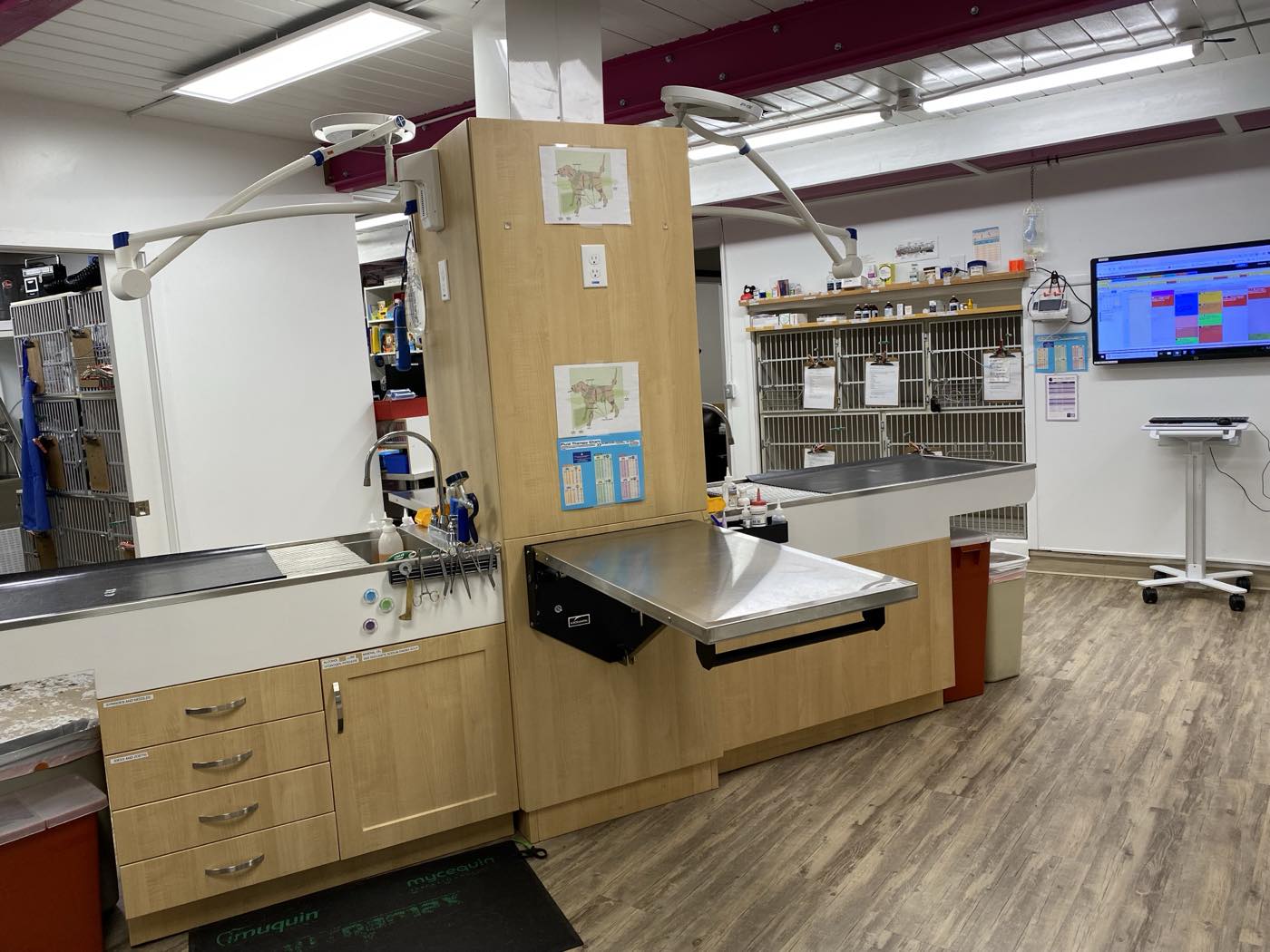 The treatment area at The Family Pet