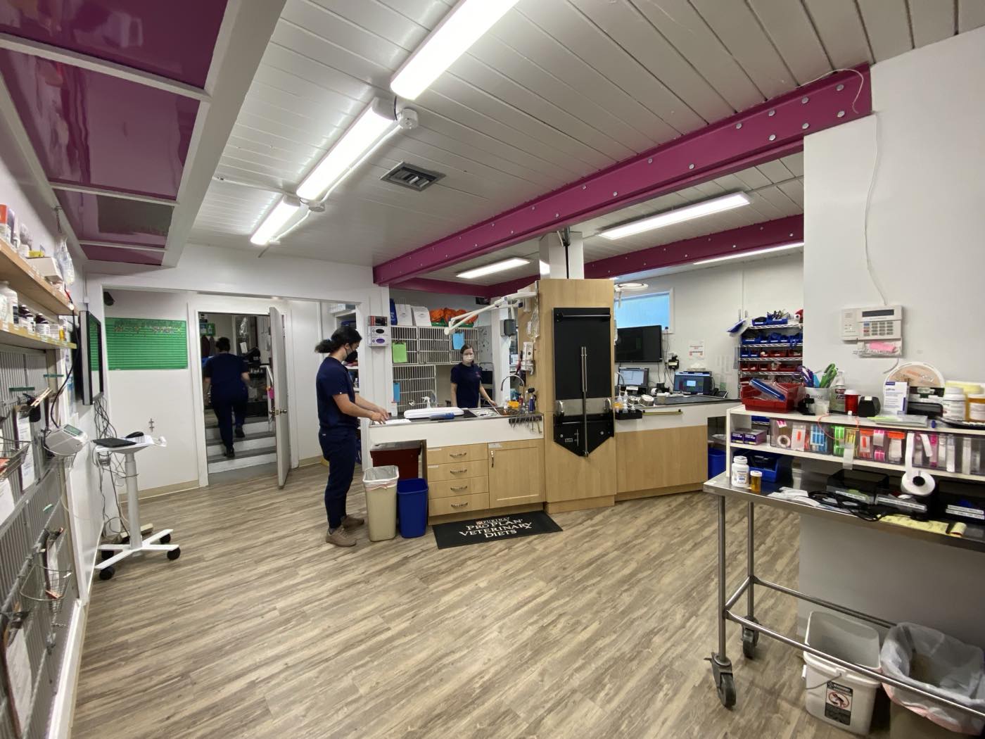 The treatment room at The Family Pet