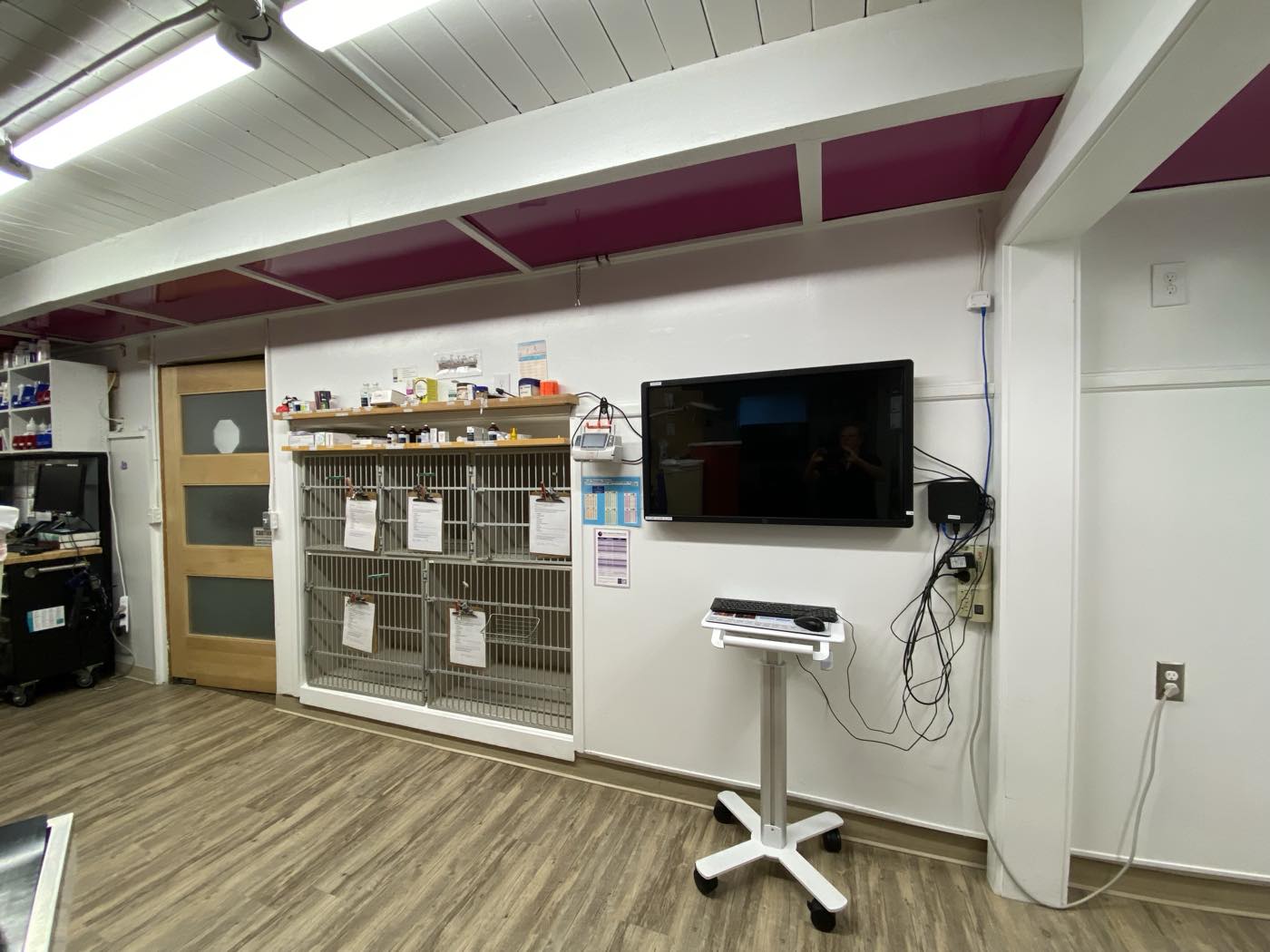 The treatment area and recovery kennels at The Family Pet