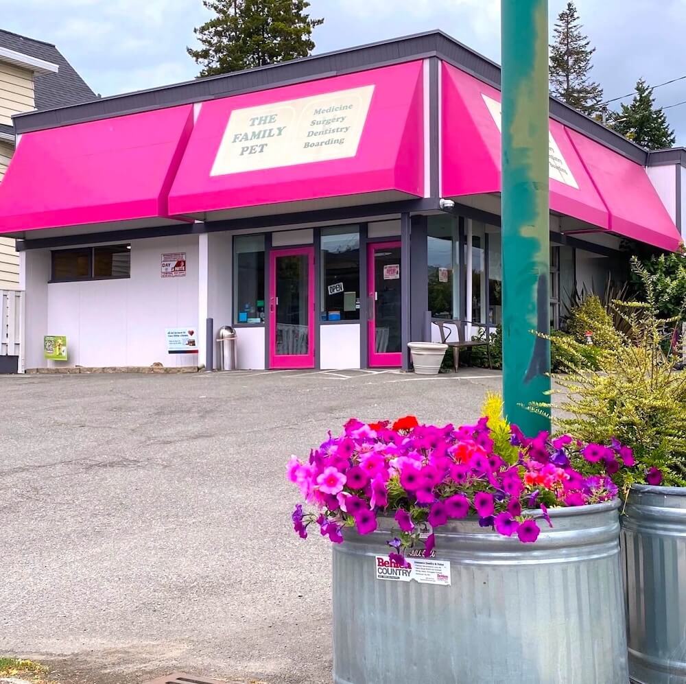 top rated vet in Seattle WA