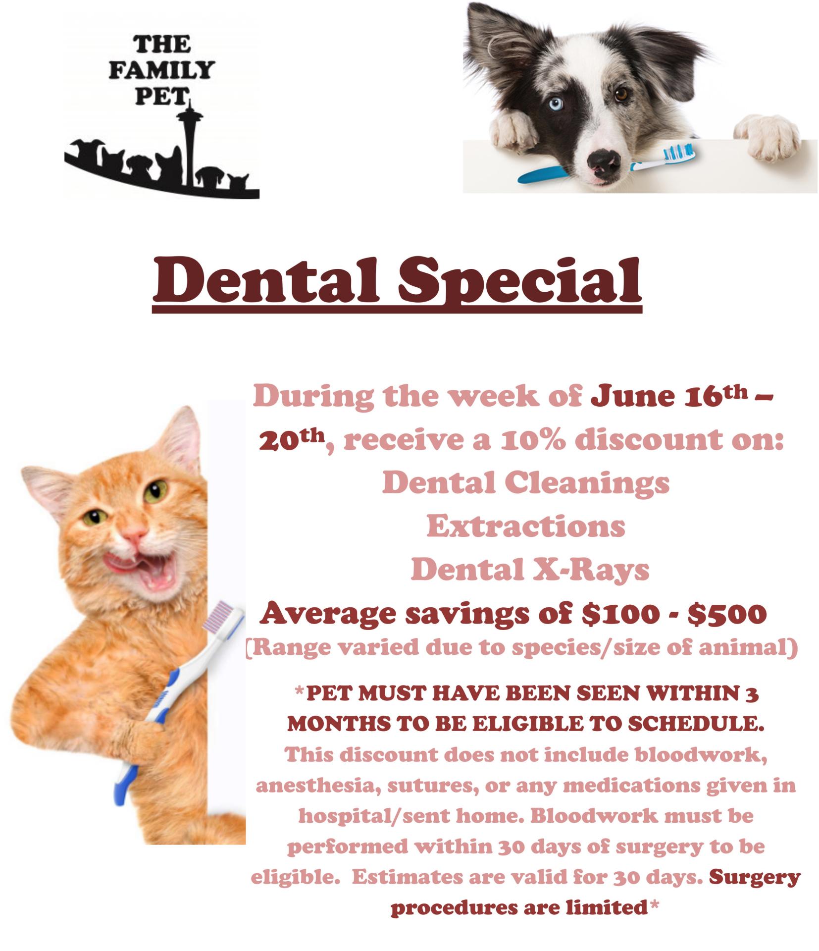 dental promo