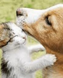 Gavin F. Choice of image for staff picture