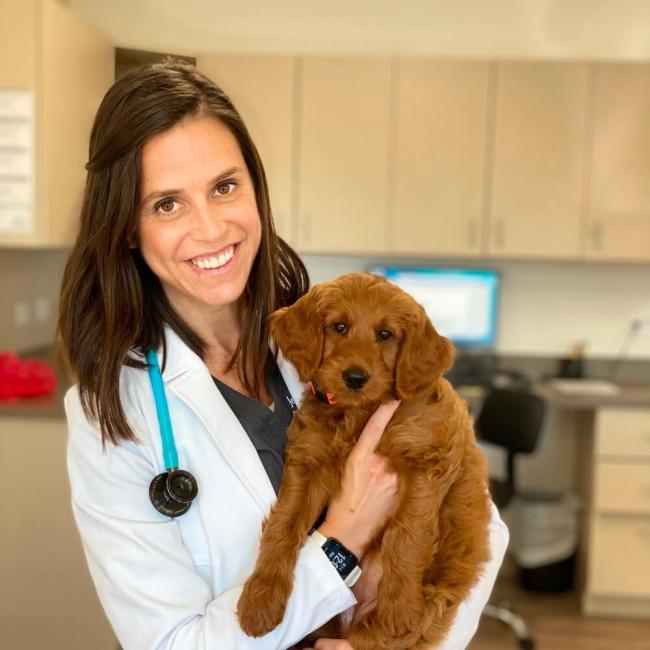 dr. chavez